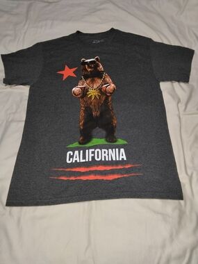 Men's Dark Gray California Bear Graphic Short-Sleeve Tee